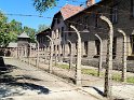 2024-05-15 11-03-07 Camp d'Auschwitz FGn