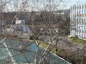 photo_21