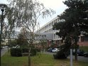 photo_11
