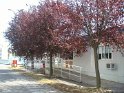 photo_03