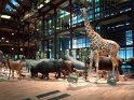 2022-03-31 10-44-18 Jardin des Plantes ANe