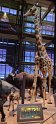 2022-03-31 10-44-20 Jardin des Plantes  MRh