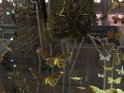 2022-03-31 11-11-12 Jardin des Plantes  DFr