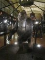 2022-03-31 11-40-53 Jardin des Plantes  DFr