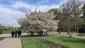 2022-03-31 15-14-08 Jardin des Plantes MWi