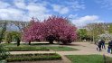 2022-03-31 15-15-24 Jardin des Plantes MWi