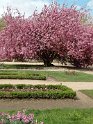 2022-03-31 15-15-34 Jardin des Plantes FHe