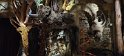 2024-11-07 10-16-16 Arts Forains FGn