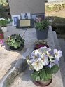 2025-03-20 14.50.31  Cimetiere Pere Lachaise MFr