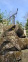 2025-03-20 16.04.30  Cimetiere Pere Lachaise FGn