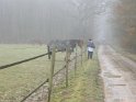 2009-03-05 11-27-30 Auffargis