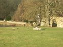 2009-03-05 16-21-23 Auffargis