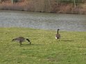 2009-03-05 16-23-17 Auffargis