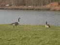 2009-03-05 16-24-47 Auffargis