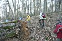 2009-03-05 17-13-49 Auffargis