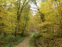 2010-11-04 11-16-26 Auffargis Sous-bois YLe