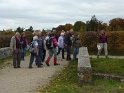 2010-11-04 15-01-50 Auffargis-l'apres-midi YLe