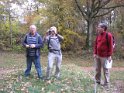 2010-11-04 16-28-41 Auffargis-l'apres-midi APr