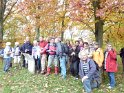 2010-11-04 16-29-54 Auffargis-l'apres-midi CGn