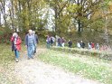 2010-11-04 16-41-43 Auffargis-l'apres-midi CGn