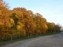 2010-11-04 17-06-14 Auffargis Sous-bois CGn