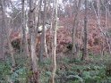 2014-12-11 12-00-08 Rando Auffargis MDe
