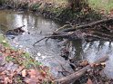 2014-12-11 12-01-26 Rando Auffargis MDe