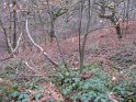 2014-12-11 12-42-46 Rando Auffargis MDe