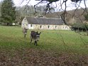 2019-03-07 10-46-55 Rando Auffargis FGn