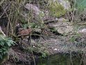 2016-03-10 09-50-55 Rando AM Boissy MDe