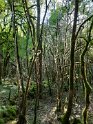 2022-09-20 11-12-11 Brenne-Foret magique BMa