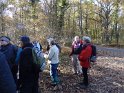 2016-11-03 10-28-24 La Celle les Bordes DLe