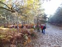 2016-11-03 10-37-52 La Celle les Bordes DLe