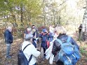 2016-11-03 10-46-02 La Celle les Bordes DLe