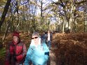 2016-11-03 11-36-03 La Celle les Bordes FGn