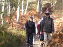 2016-11-03 11-43-42 La Celle les Bordes FGn