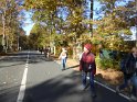 2016-11-03 12-28-33 La Celle les Bordes FGn