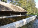 2016-11-03 12-44-14 La Celle les Bordes FGn