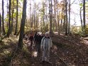 2016-11-03 13-09-44 La Celle les Bordes FGn