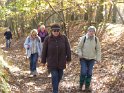 2016-11-03 13-10-05 La Celle les Bordes FGn