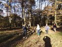 2016-11-03 15-37-10 La Celle les Bordes DLe
