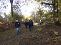 2016-11-03 16-31-34 La Celle les Bordes FGn