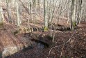 2018-12-13 12-26-24 Rando la Celle les Bordes DLe