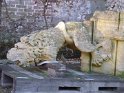 2018-12-13 14-41-39 Chateau de la Celle les Bordes FGn
