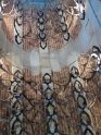 2018-12-13 15-32-08 Massacres de chasse FGn