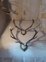 2018-12-13 15-37-46 Massacres de chasse FGn