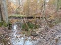 2024-11-14 09-52-24 Celle les Bordes DFr