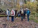 2024-11-14 10-33-48 Celle les Bordes DFr