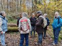 2024-11-14 10-34-06 Celle les Bordes DFr