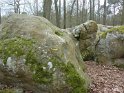 2014-04-03 10-04-09 Rando Champcueil YLe